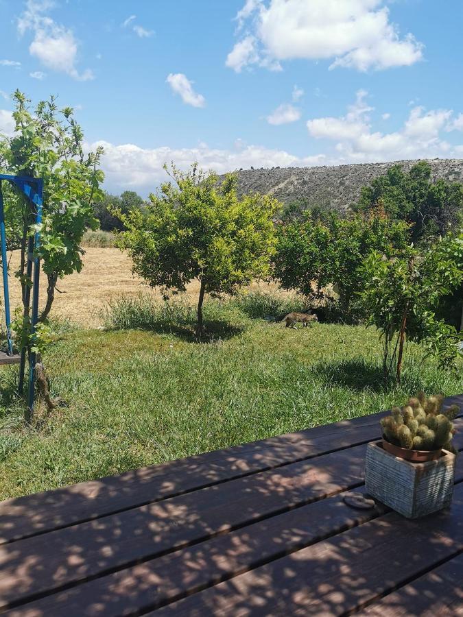 بيسوري Ampelokipi Holiday Apartments المظهر الخارجي الصورة