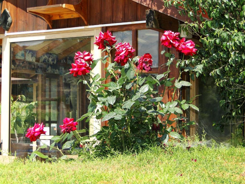بيسوري Ampelokipi Holiday Apartments المظهر الخارجي الصورة